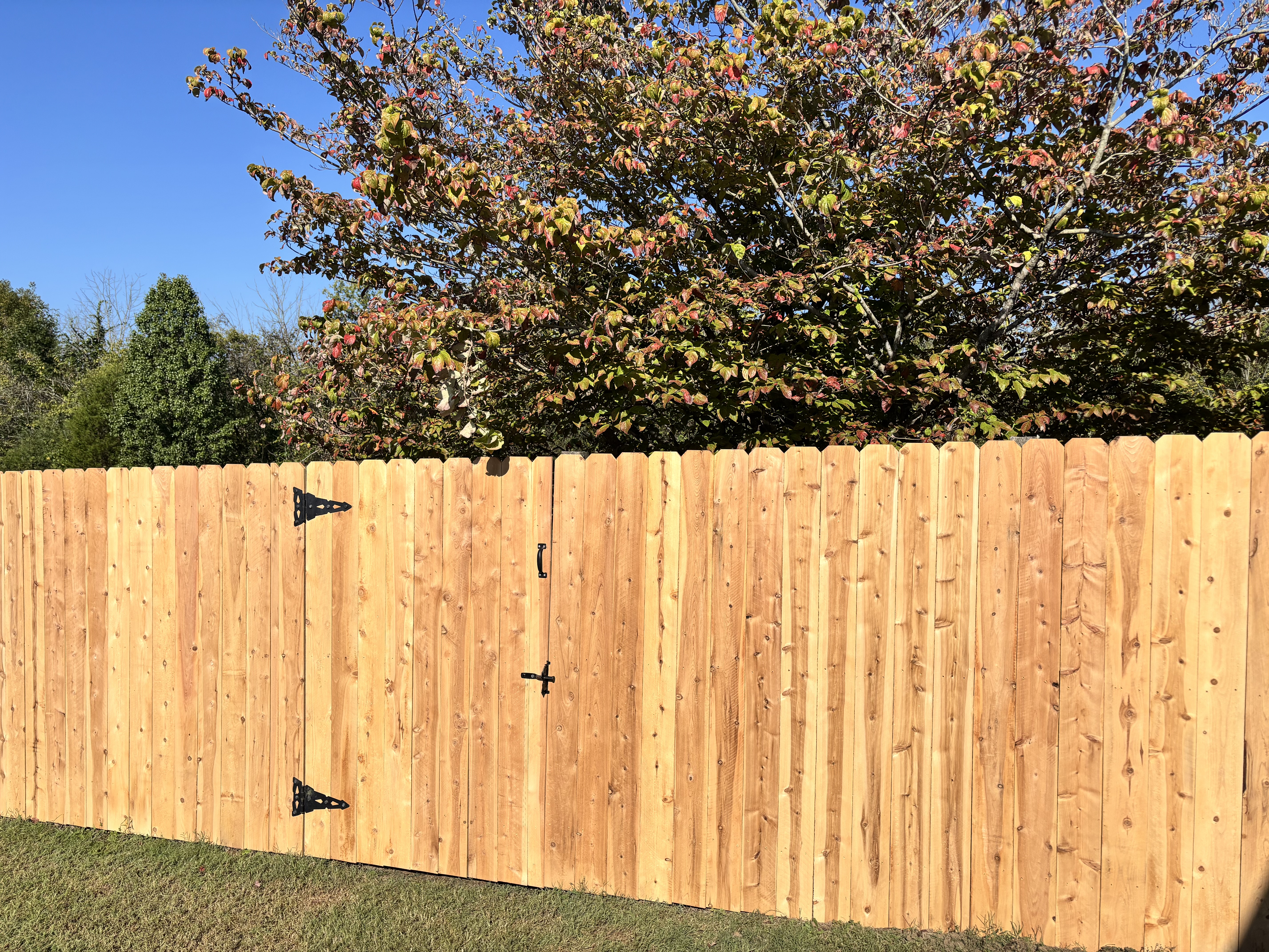 Cedar dog-ear privacy fence with gate installed in Middle Tennessee by Henning Construction